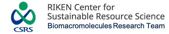 Biomacromolecules Resaerch Team, RIKEN Center for Sustainable Resource Science